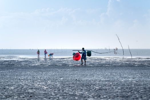 海兴县海丰湿地实景图片