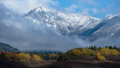 苏密枫雪谷实景图片