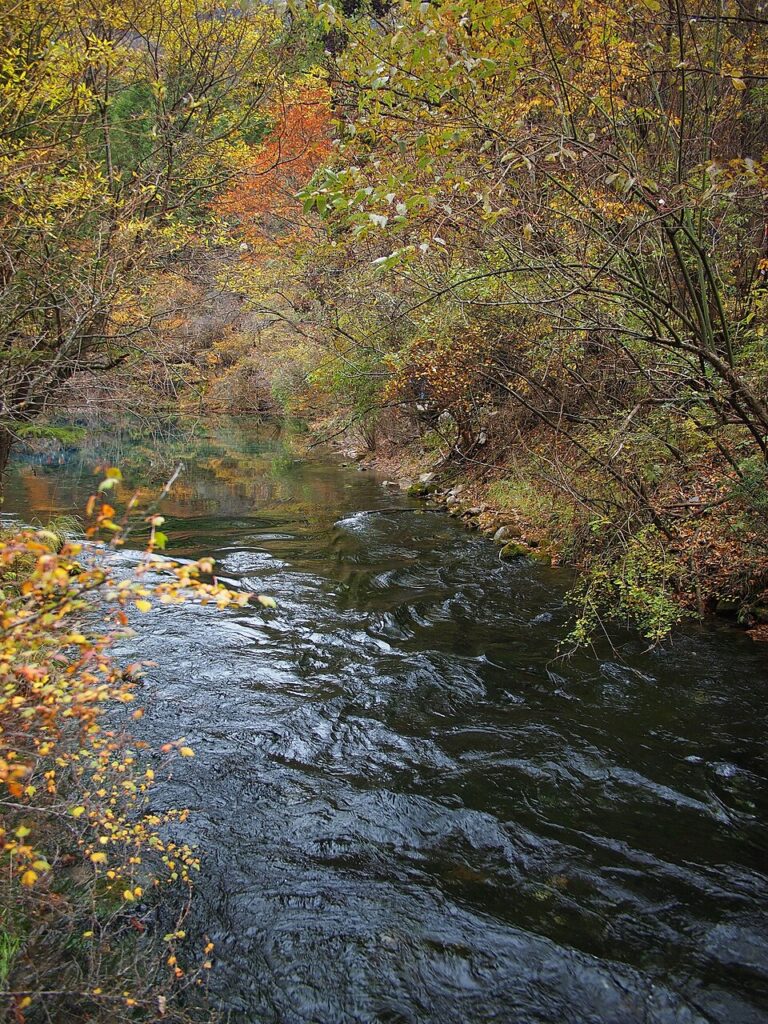 孔雀沟孔雀河道实景
