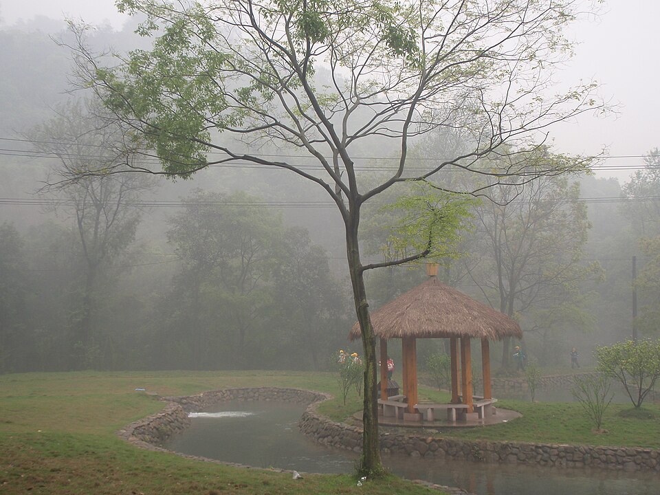 仙岩景区雾景（江上清风1961）