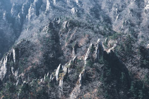 方山国家森林公园实景图片