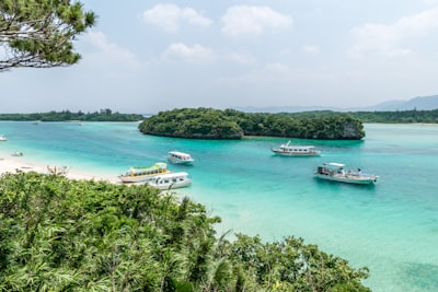 唐山湾菩提岛国际旅游度假区旅游图片