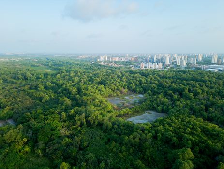 保定生态园实景图片