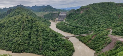双台河口自然保护区实景图片