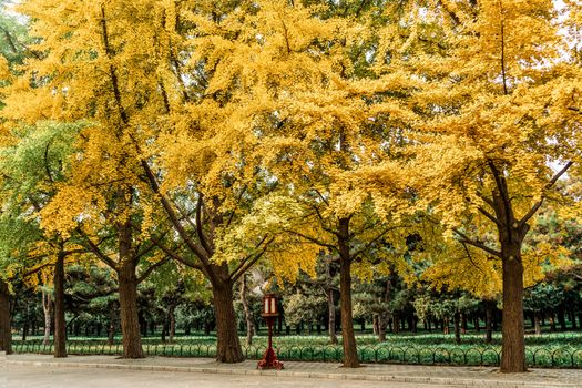 吉林市植物园实景图片