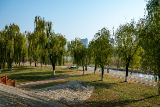 双河市生态园步道