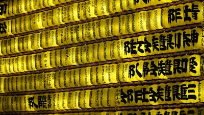 盘锦金帛滩实景图片