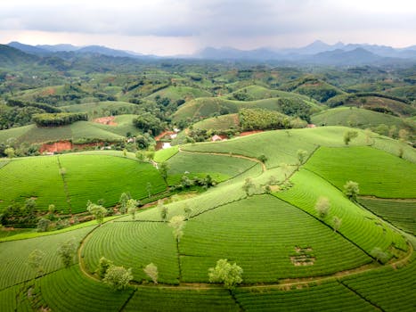 黑茶山周边丘陵田园风光