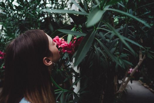芳香植物园实景图片