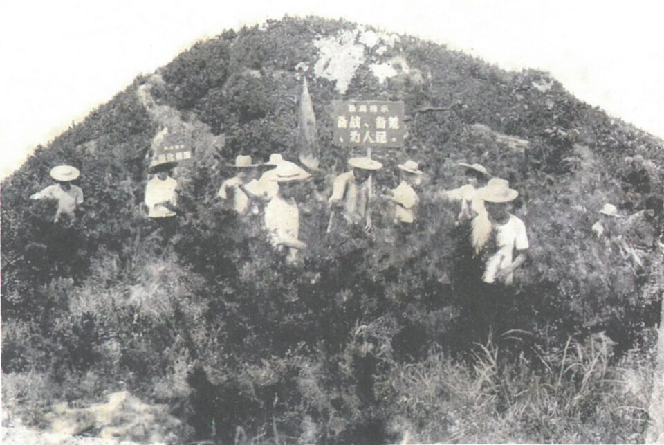 1969年知识青年在大鹿岛垦荒