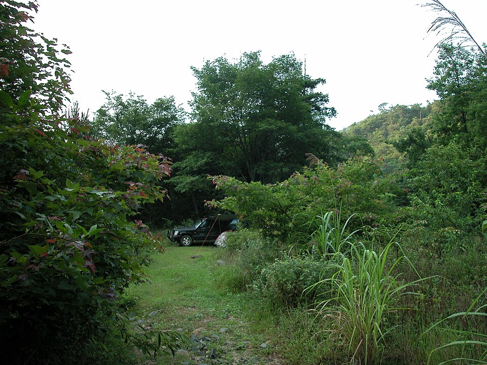 枫树湾全景