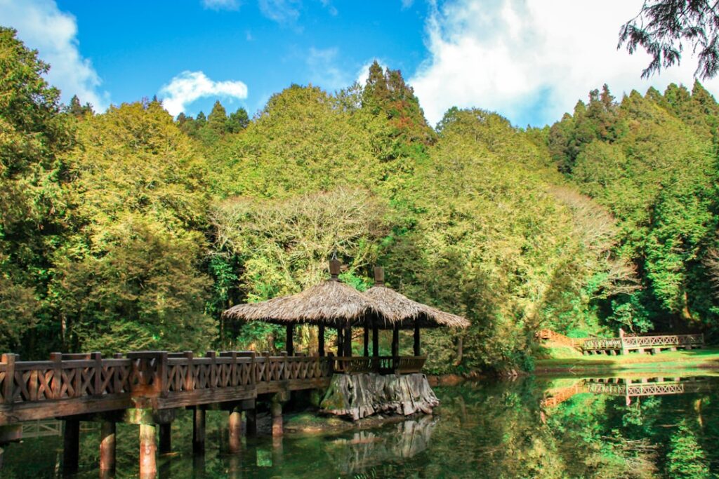 六里坪国家森林公园木桥水景