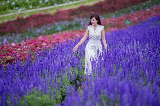 芳香植物园实景图片
