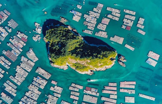 崇明岛实景图片