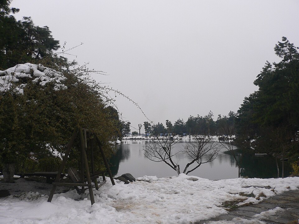 中南百草园雪景实景图片