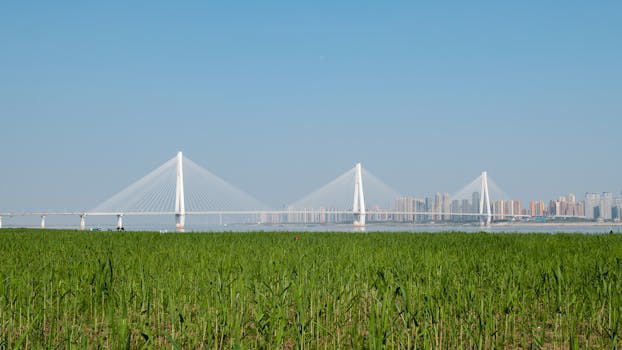 黄河大桥实景图片