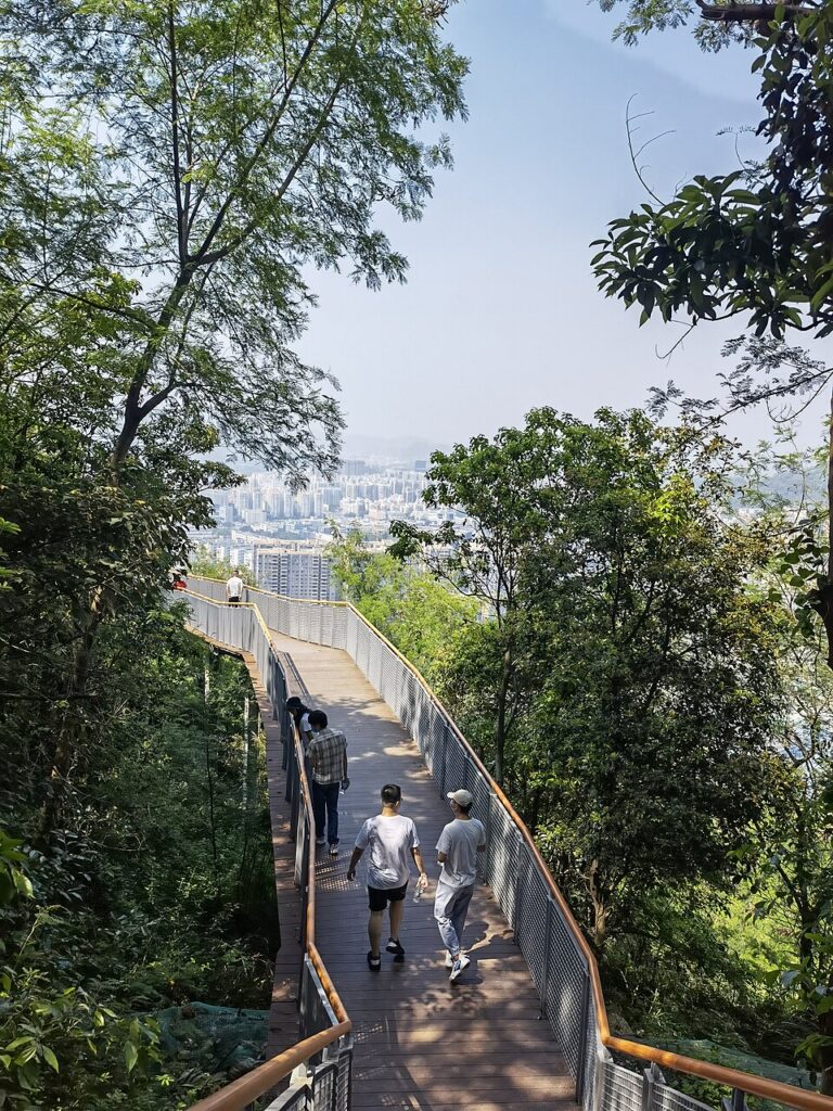 茄子河区铁山公园实景图片