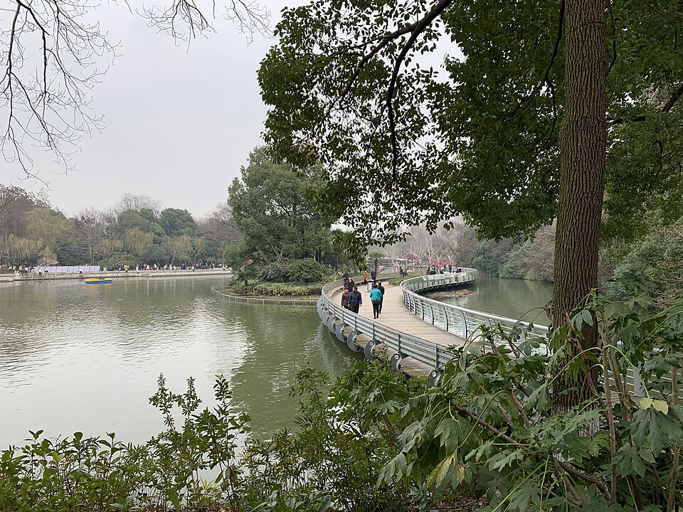 红梅公园实景