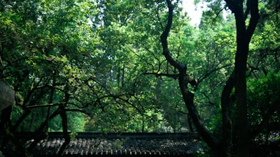 小桂林实景图片