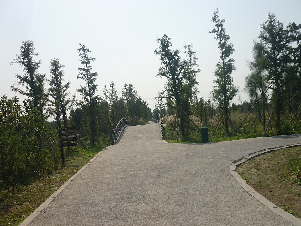 杭州湾国家湿地公园实景图片