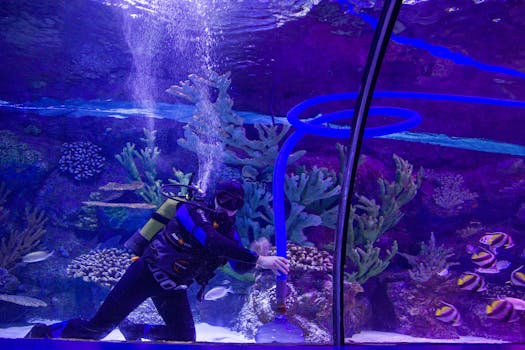 长风海洋世界实景图片