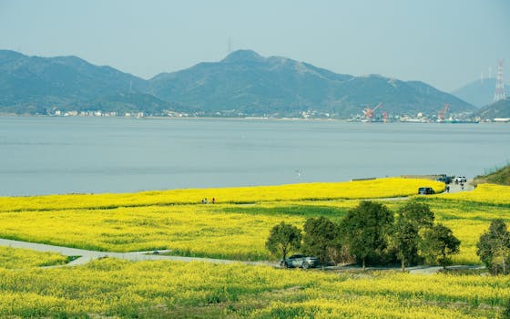 黑油山自然风光远景