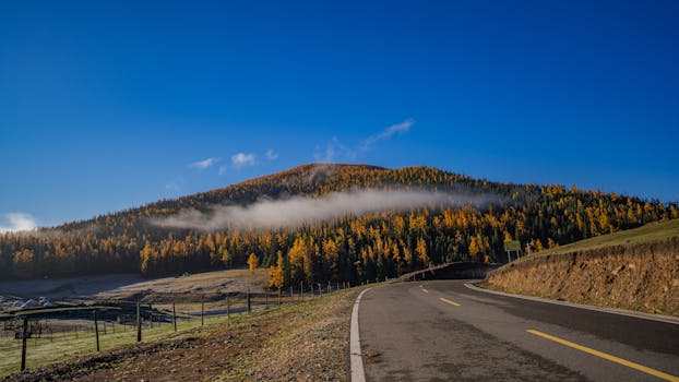黑油山