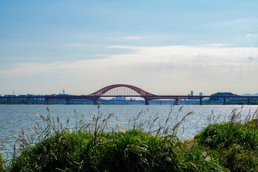 黑河市沿江公园旅游图片
