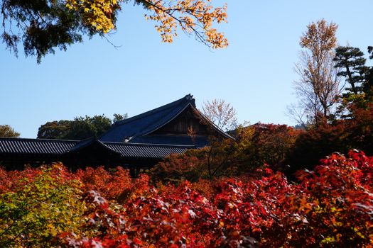 寺庙建筑实景图