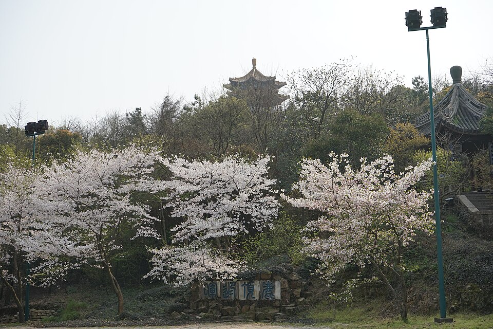 鹿顶迎晖太湖鼋头渚全景图片