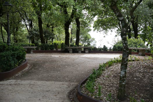 裕西公园旅游图片
