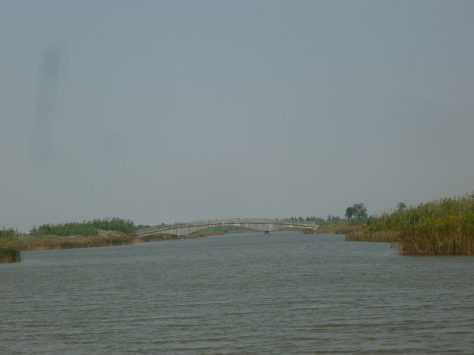 杭州湾国家湿地公园实景图片
