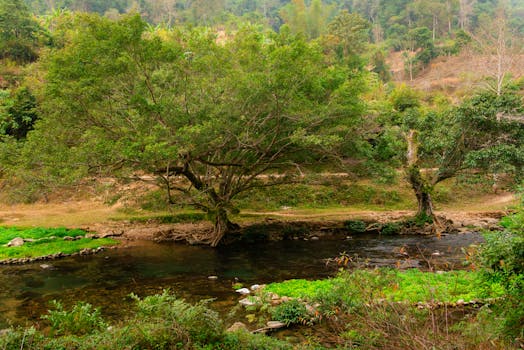 孝义曹溪河河景