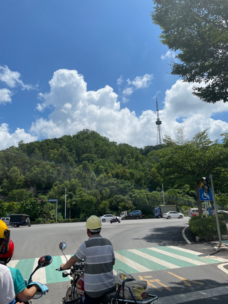 笔架山风景区电视塔全景图片
