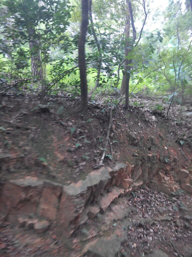 东湖景区Mount Mo俯瞰实景图片