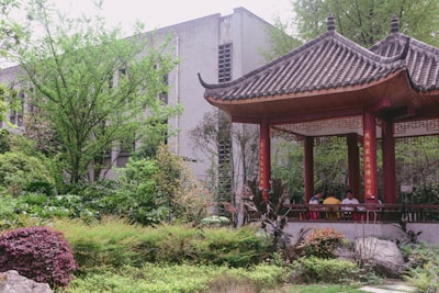 西充中国有机生活公园凉亭休憩