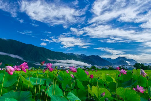 岚县饮马池实景图片