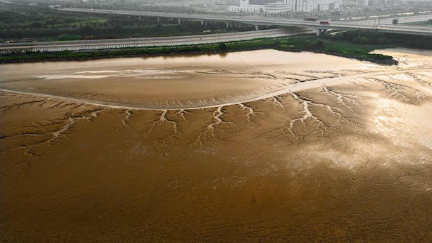 永年洼淀旅游图片