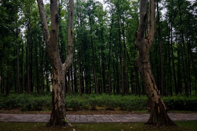 小桂林