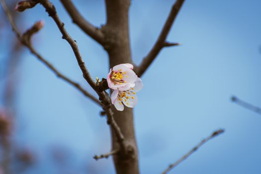 昆玉市杏花沟实景图片