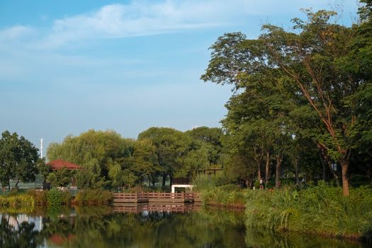 朱雀湖公园秋景