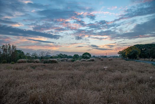 中都草原实景图片