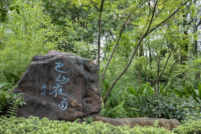 辽阳碑林石刻景观