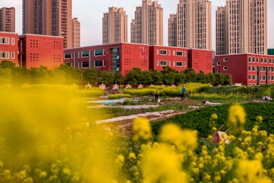 哈尔滨融创乐园亲子互动场景