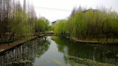第七师125团柳沟湿地实景图片