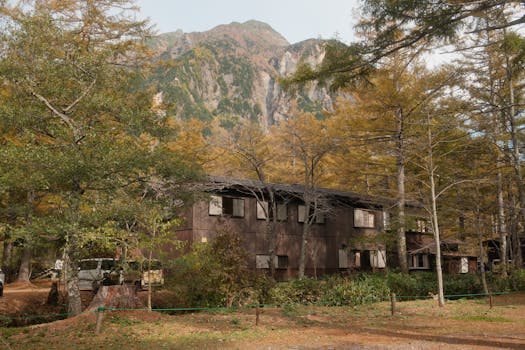 白马寺山森林公园实景图片