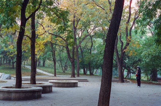 长安公园旅游图片