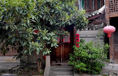 万盛奥陶纪建筑实景