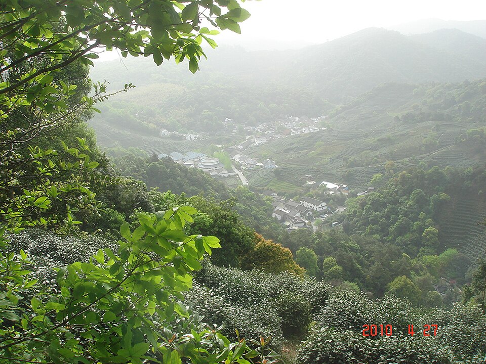 远眺龙井村