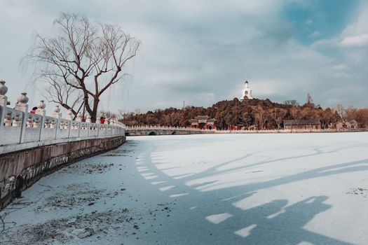 北屯湿地公园实景图片